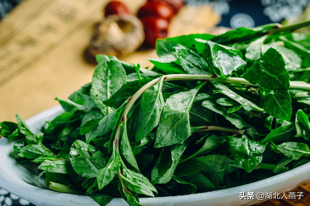 55种野菜大图片，带你见识不同的野菜和吃法，你想要的野菜这里有