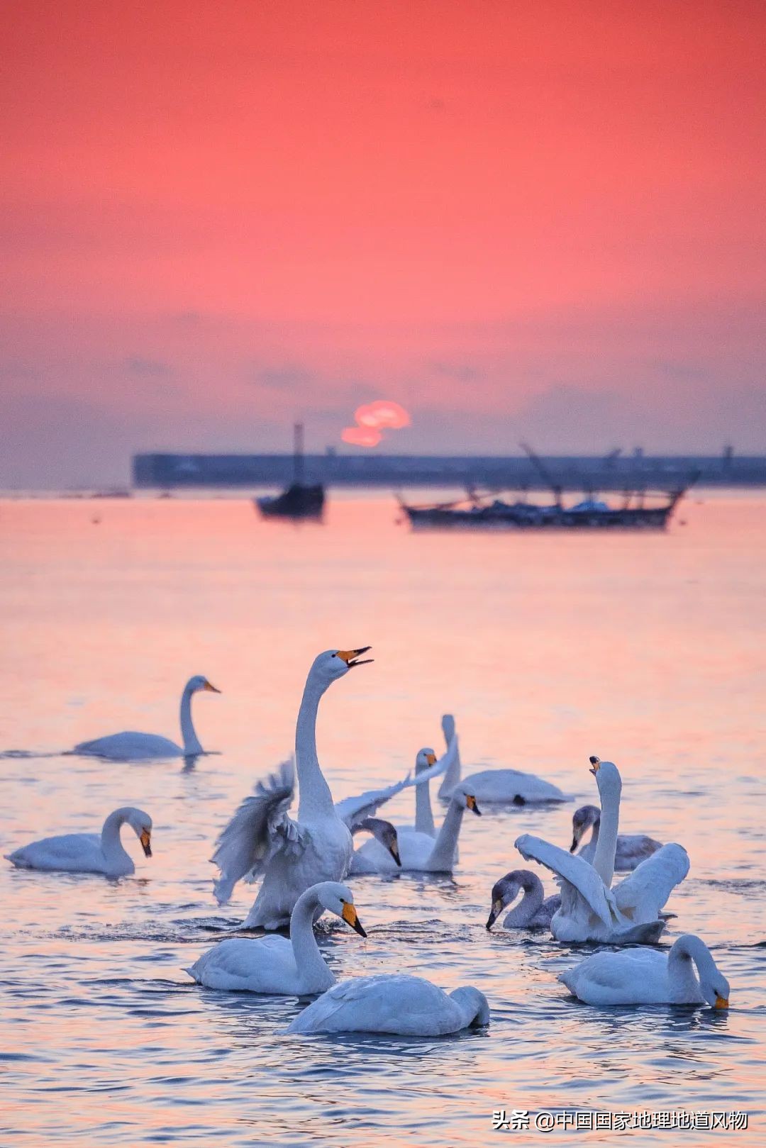 中国第一海鲜大省的这座城，让国人实现顶级生蚝自由