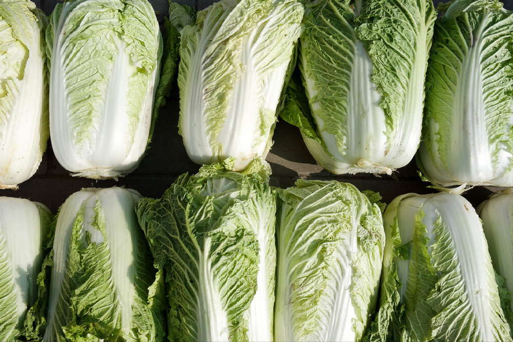 明日冬至，记得“吃2肉，食3菜”，营养又暖身，顺顺利利过寒冬