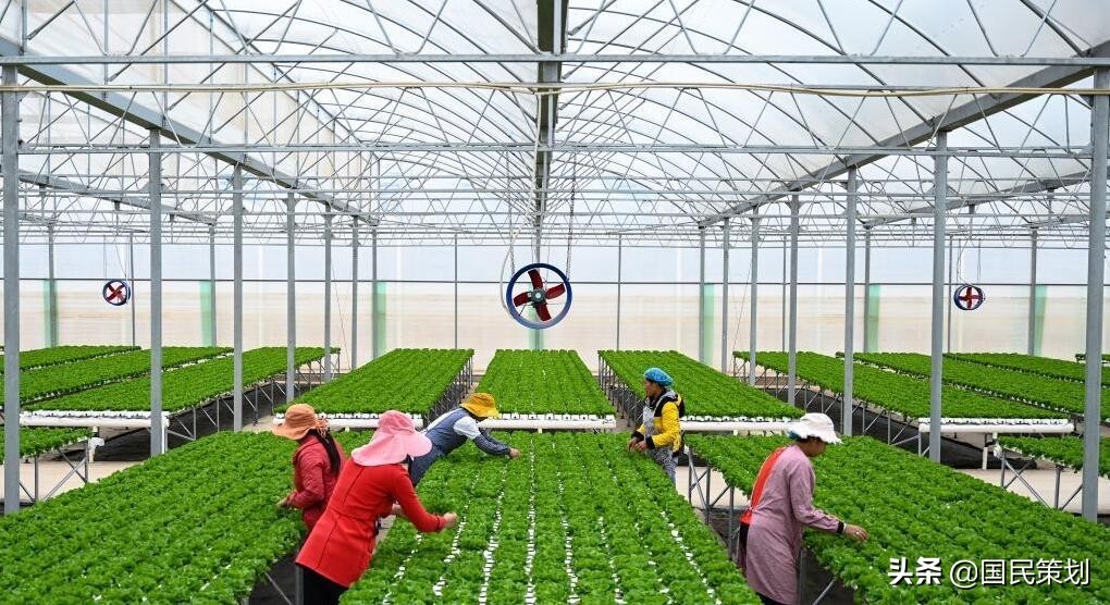 重磅！2022年，批准创建50个国家现代农业产业园