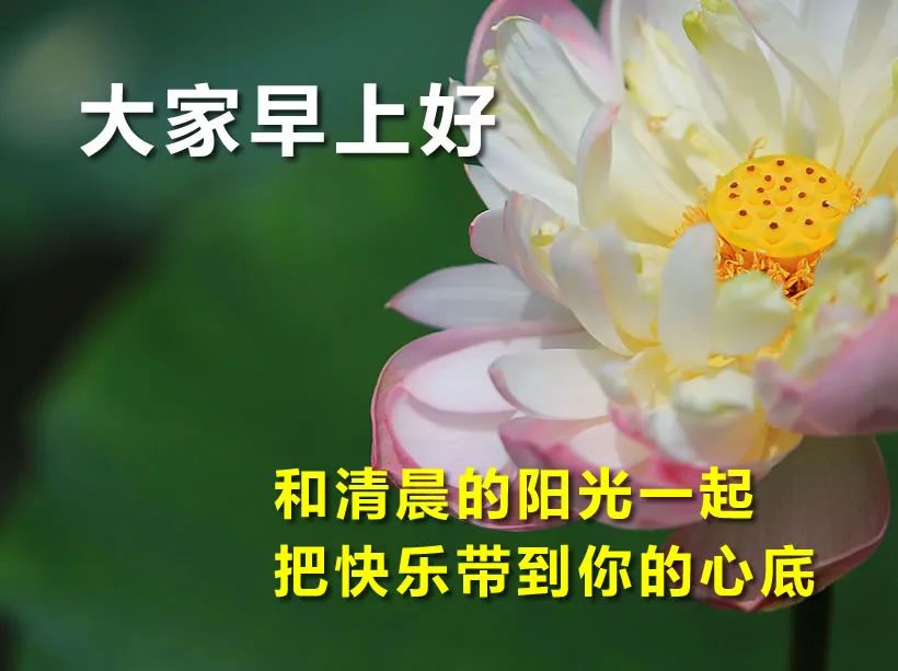 早上好的温馨动态图片 早上好祝福语漂亮动图 一路感恩，且行且珍惜图片