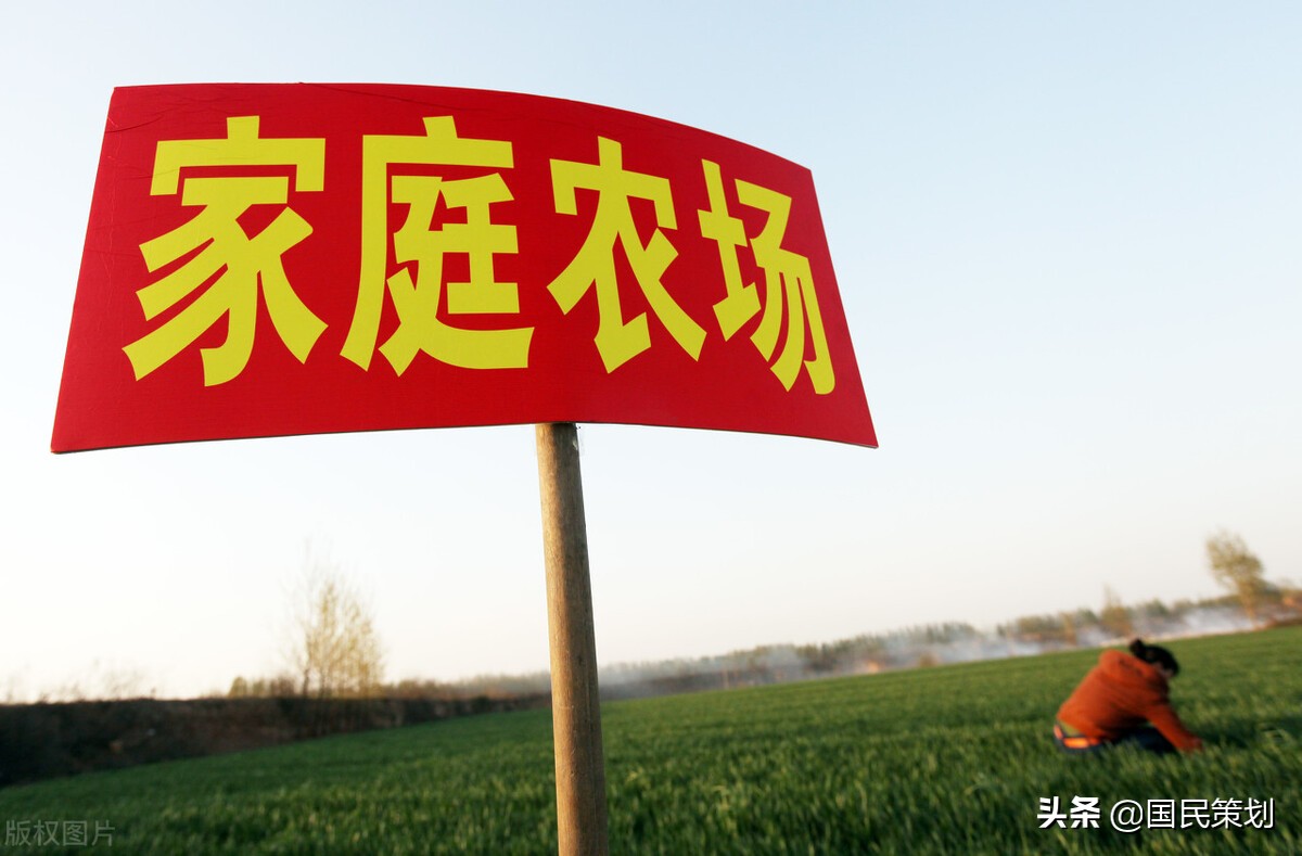 官方：鼓励有意愿农户成为家庭农场！拐点已出现，小农业是载体？