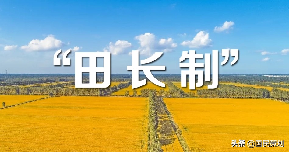 全面推行田长制？从农业产业融合发展项目开始，3大载体