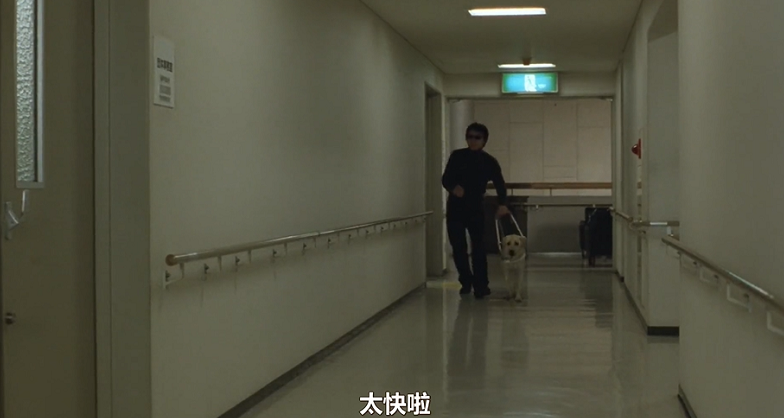 10分钟看哭7次！当他们不再“有用”的时候，却也无法正常生活