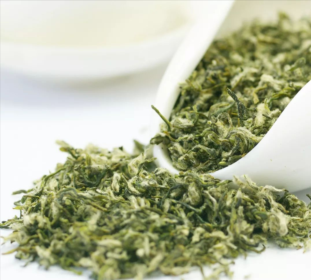 哪里产的绿茶最好？除了10大名茶，还有哪些小众绿茶，你喜欢哪种