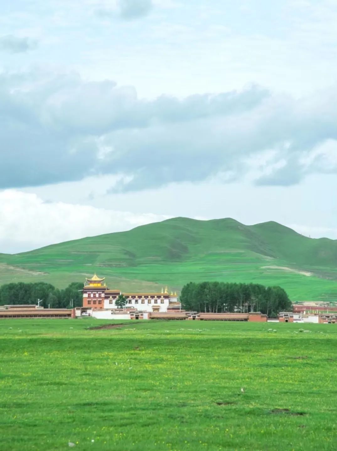 中国最传奇的省份，一半沙漠一半绿洲，私藏“东方卢浮宫”