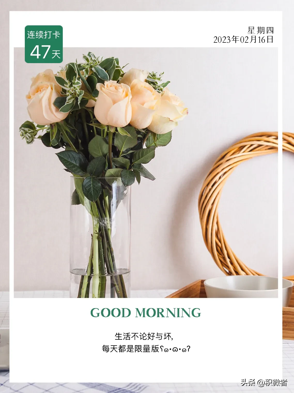 又到了每日小总结时刻锦鲤到来