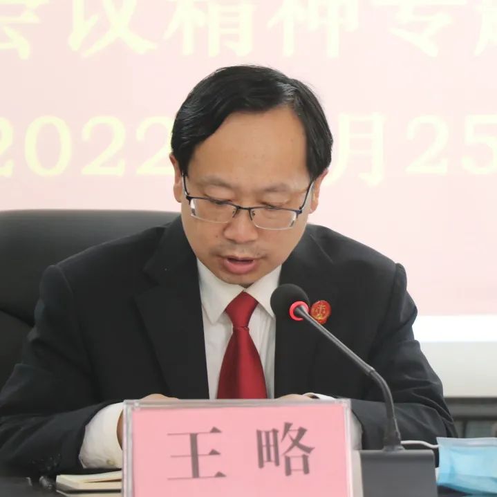略阳法院召开贯彻落实全市法院院长会暨党风廉政建设和反腐败工作会议精神专题会议