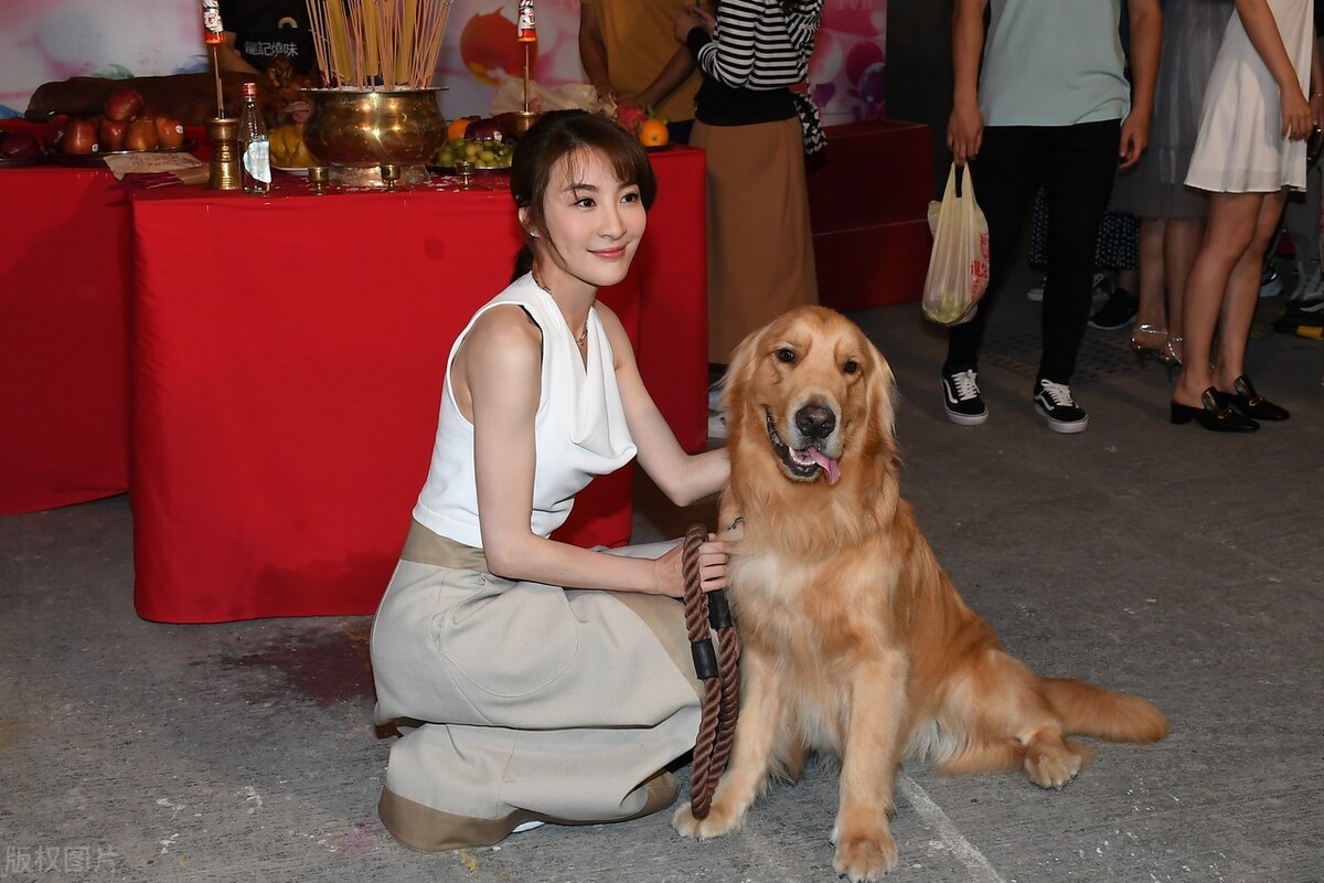 林夏薇 周家洛出席TVB新剧《宠爱 pet pet》拜神仪式