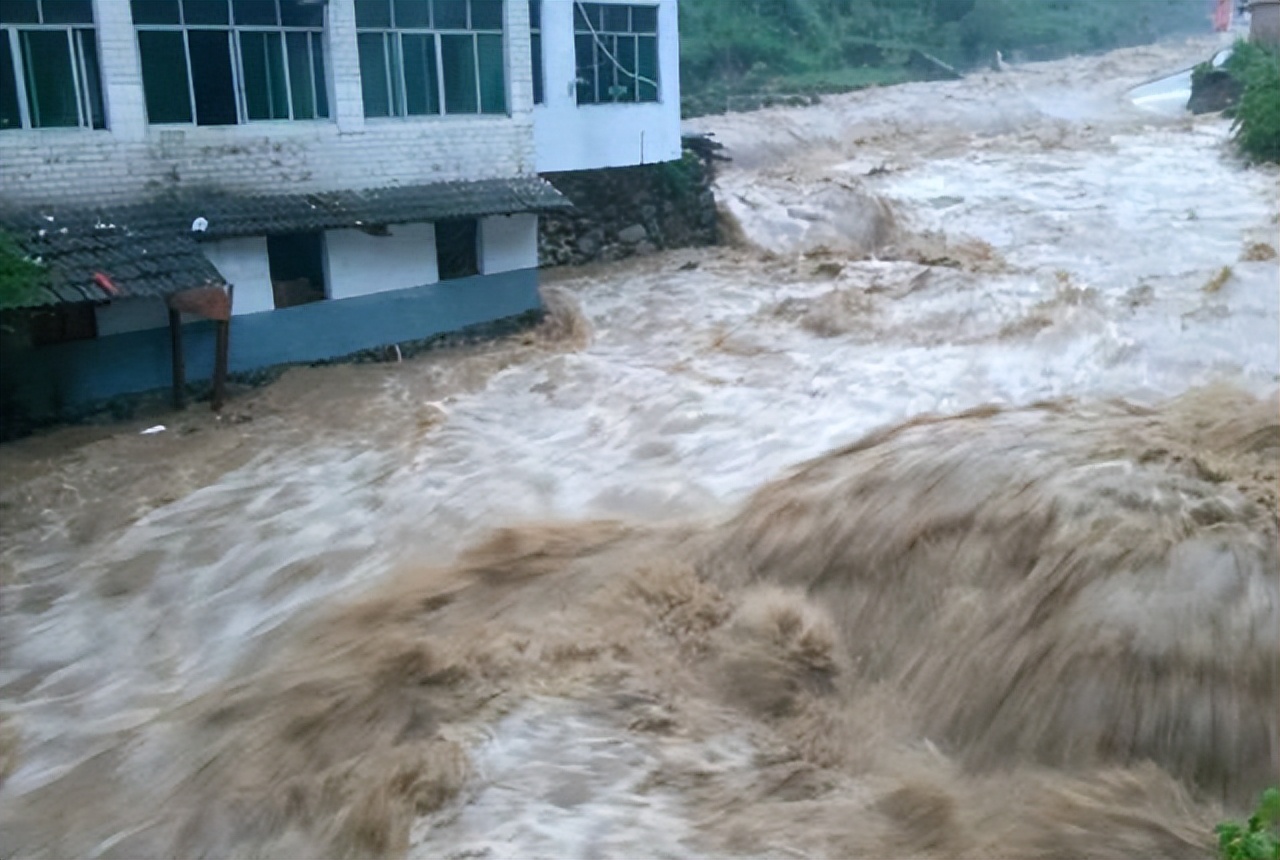 1998年洪水,那个抱树9小时被救的女孩,长大后做了警察报答祖国