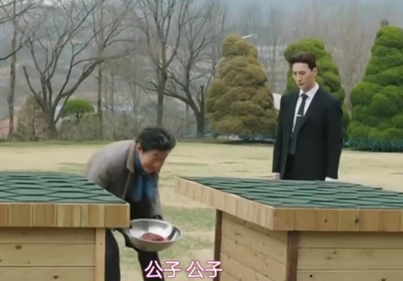 韩剧《夏娃》涉嫌辱华，给狗取名孔子荀子，韩翻组有意淡化不翻译