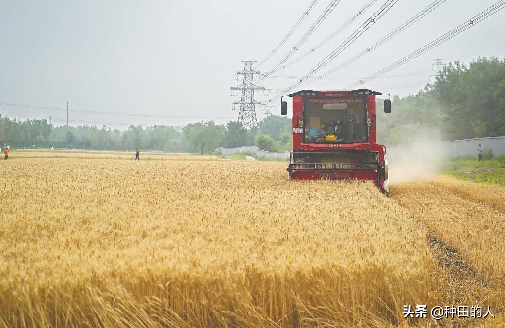 2022年“秸稈還田”每畝地補貼多少錢？農(nóng)民了解下