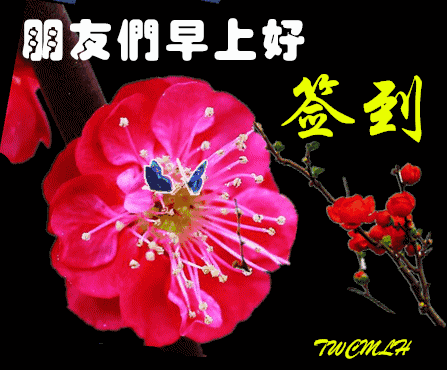 早上好祝福 长长久久，平平安安 做人就要沉下心来，踏踏实实去努力图片