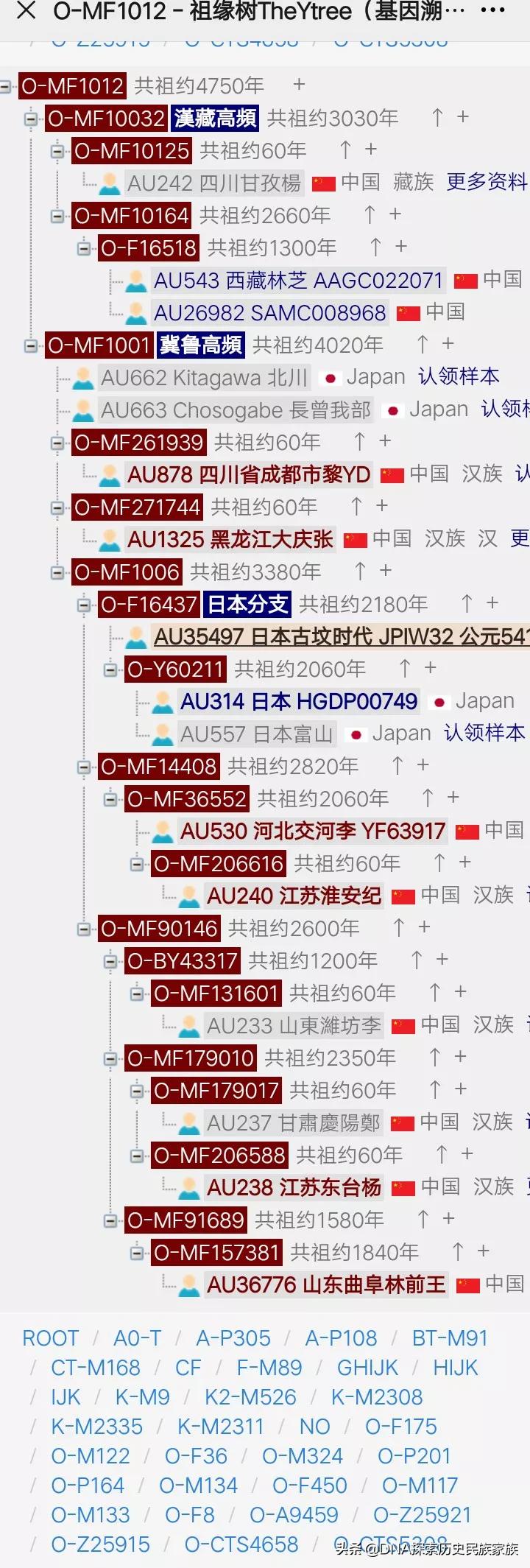 日本十大名门世家：秦氏等古老家族的历史与影响