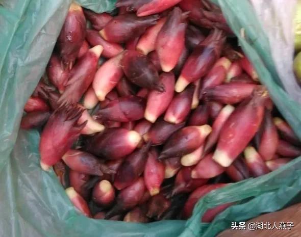 50种野菜大图片，教你认识不同的野菜和吃法，你想要的野菜这里有