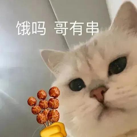 可爱表情包  饿吗？我有串串