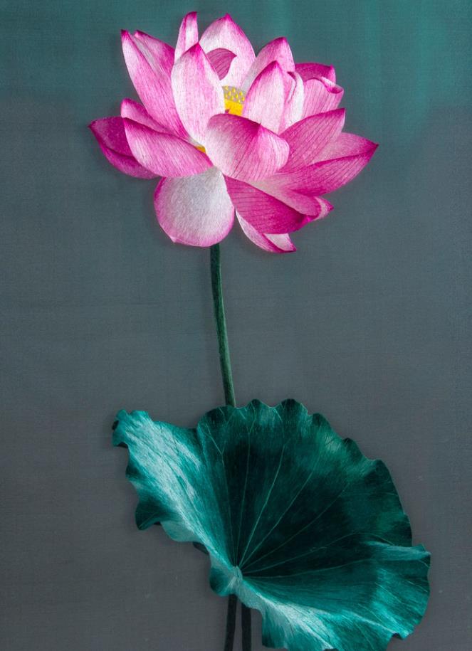 "家有荷花富富年年",玄关藏荷花,康宁事万兴,妥妥积善旺财花