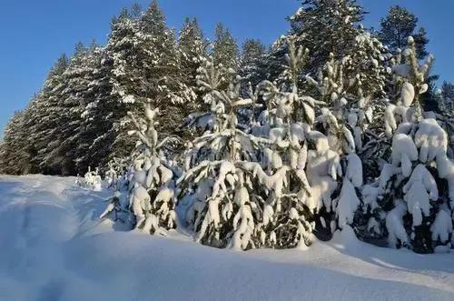 一川雪色，满城烟火，万丈红尘中，闲情几许？