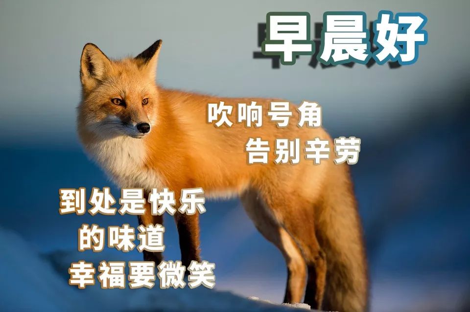 新版清晨好今日更新早上好表情包 寒潮来临，注意保暖图片