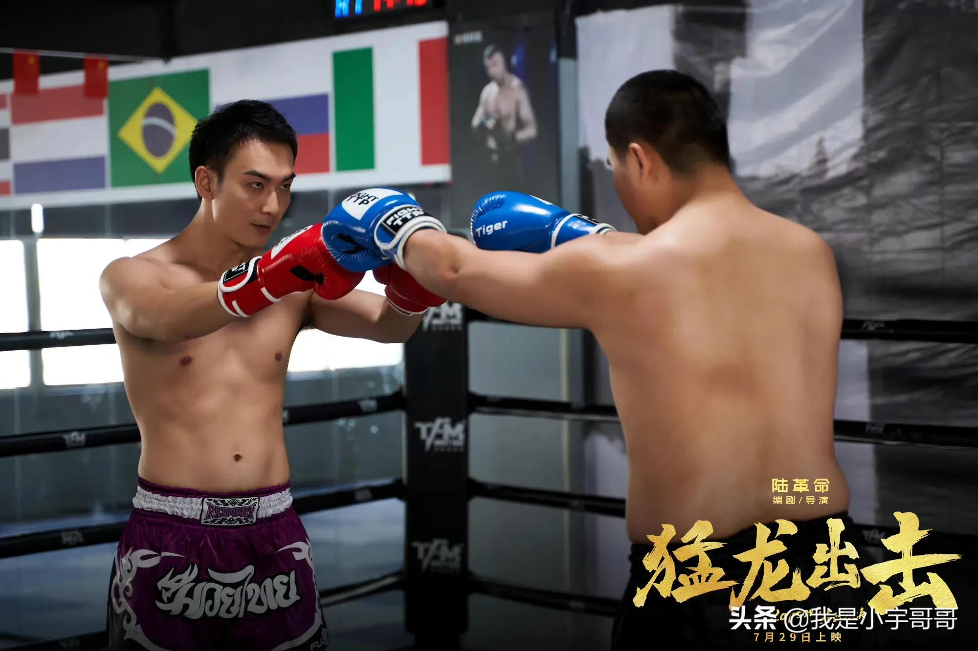 电影《猛龙出击》定档07.29，故事取材于自由搏击领域，期待上映