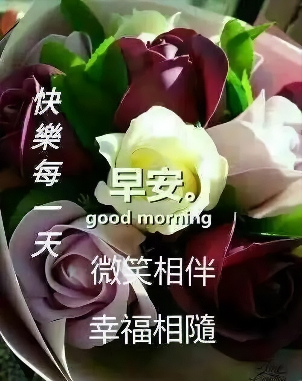 周六早上好祝福图片，愿你美丽心情展翅飞翔，柔柔的祝福暖在心间图片