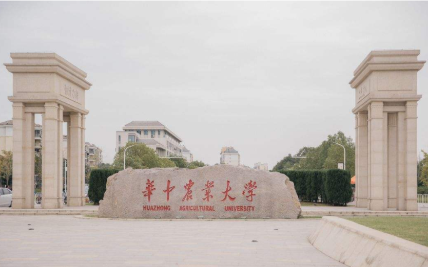 湖北高校金字塔排名出炉，武大武二实至名归，长江大学不负众望