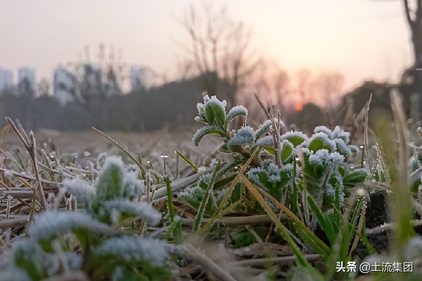2022年春节是几月几日日,2022年春节是几月几日