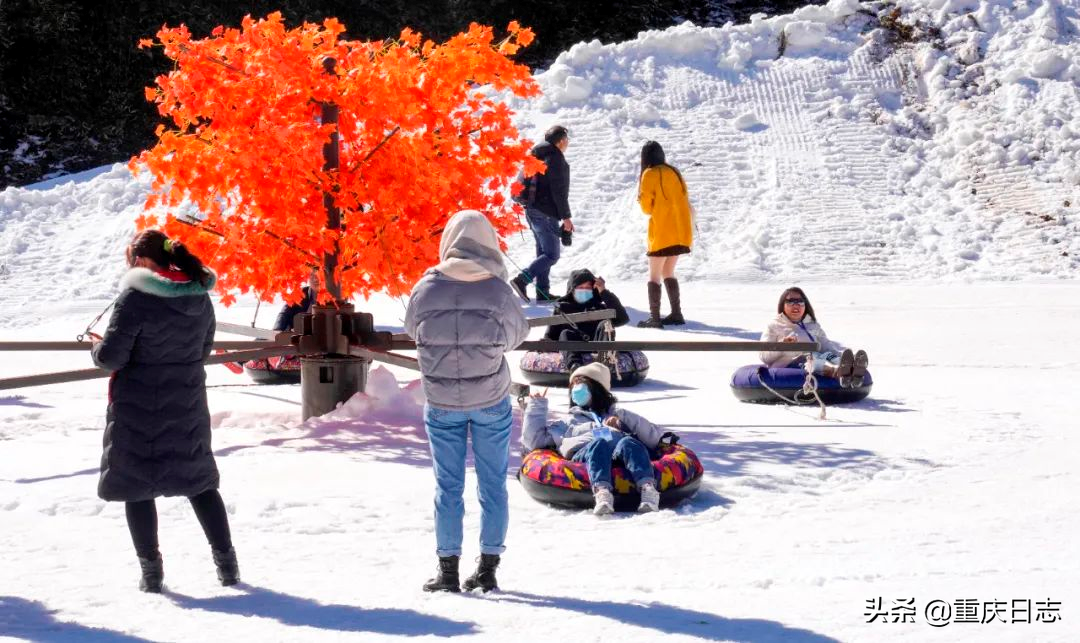 全民上冰雪，助力冬奥会！金佛山滑雪享特价，延续冰雪运动激情