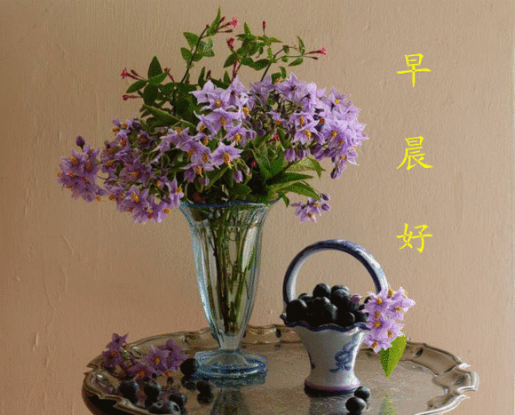周六漂亮的鲜花动图早上好问候图片 愿你所想的都能如愿图片