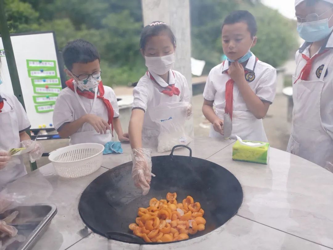 劳动中收获 劳动中成长｜大林小学举办第十七周劳动教育研讨活动