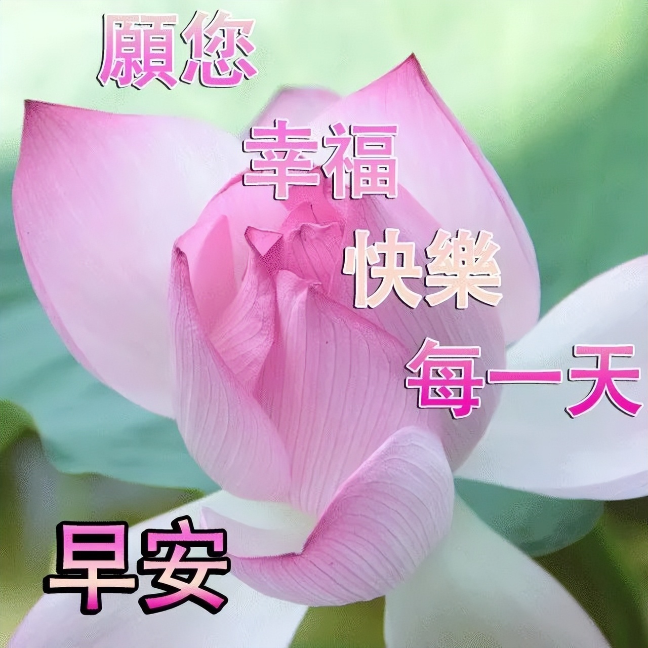 春日微信最新早上好动态表情图片大全，春日清晨早上好问候语图片