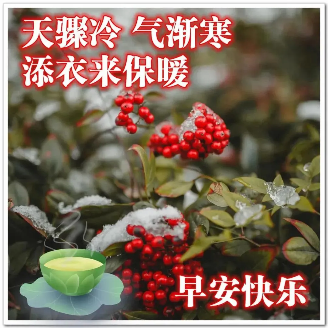 早晨安好：好朋友是路，越走越宽；好朋友是福，吉祥无边，早上好