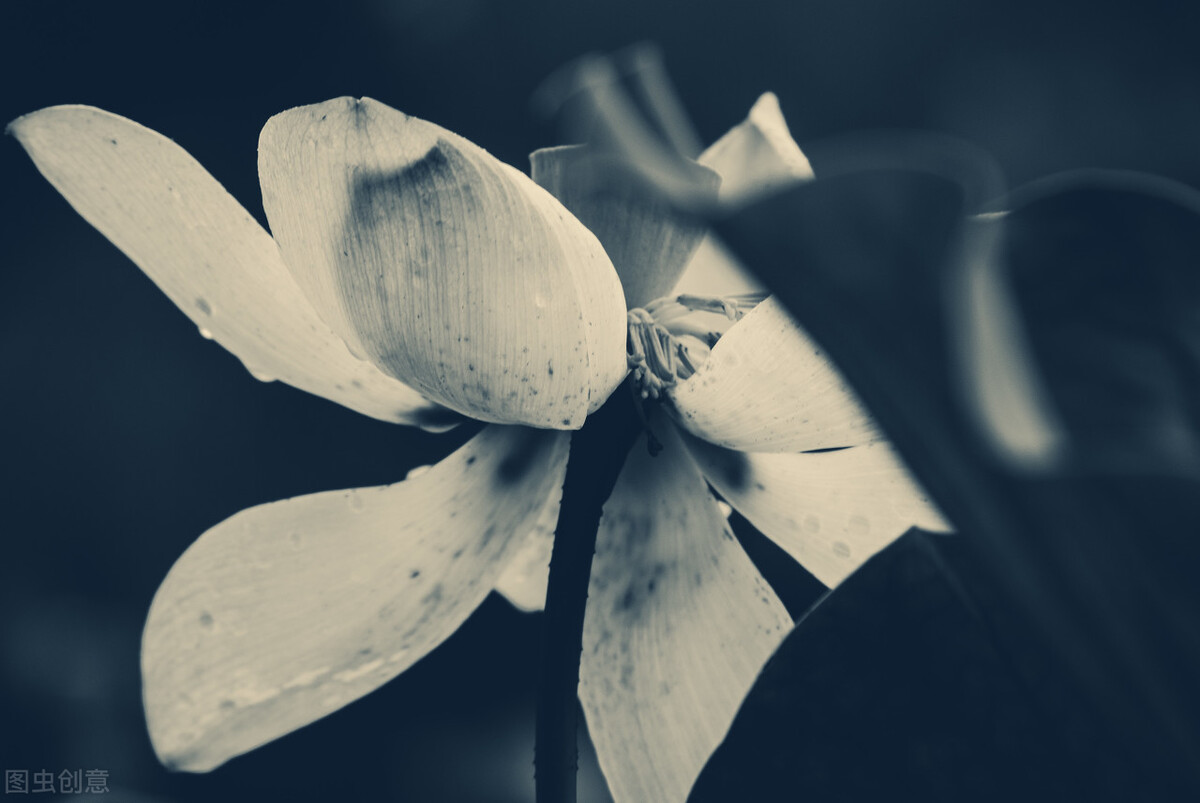 刑事辩护：面对疑难案件如何解决？用腾挪手段，三步足以解决难题