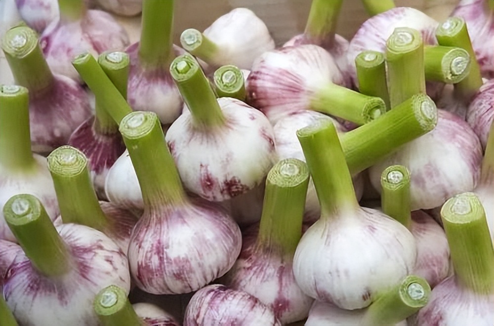 坚持天天吃大蒜的人，最后得到了什么？看完或许就明白了