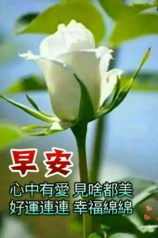 最新早上好祝福语，感恩世界、感恩有你 遥寄一份浓浓的祝福图片
