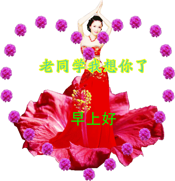 早上好，每日问候，天天没烦恼，人生有缘长相思，快乐在心间图片