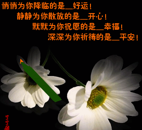 春日微信最新早上好动态表情图片大全，春日清晨早上好问候语图片