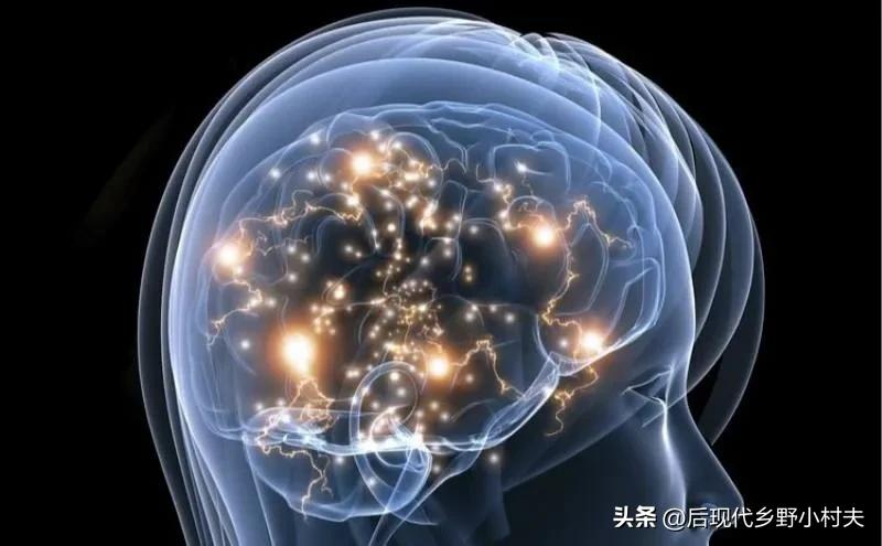 人为什么会有记忆？记忆怎么产生？来看看这两个实验