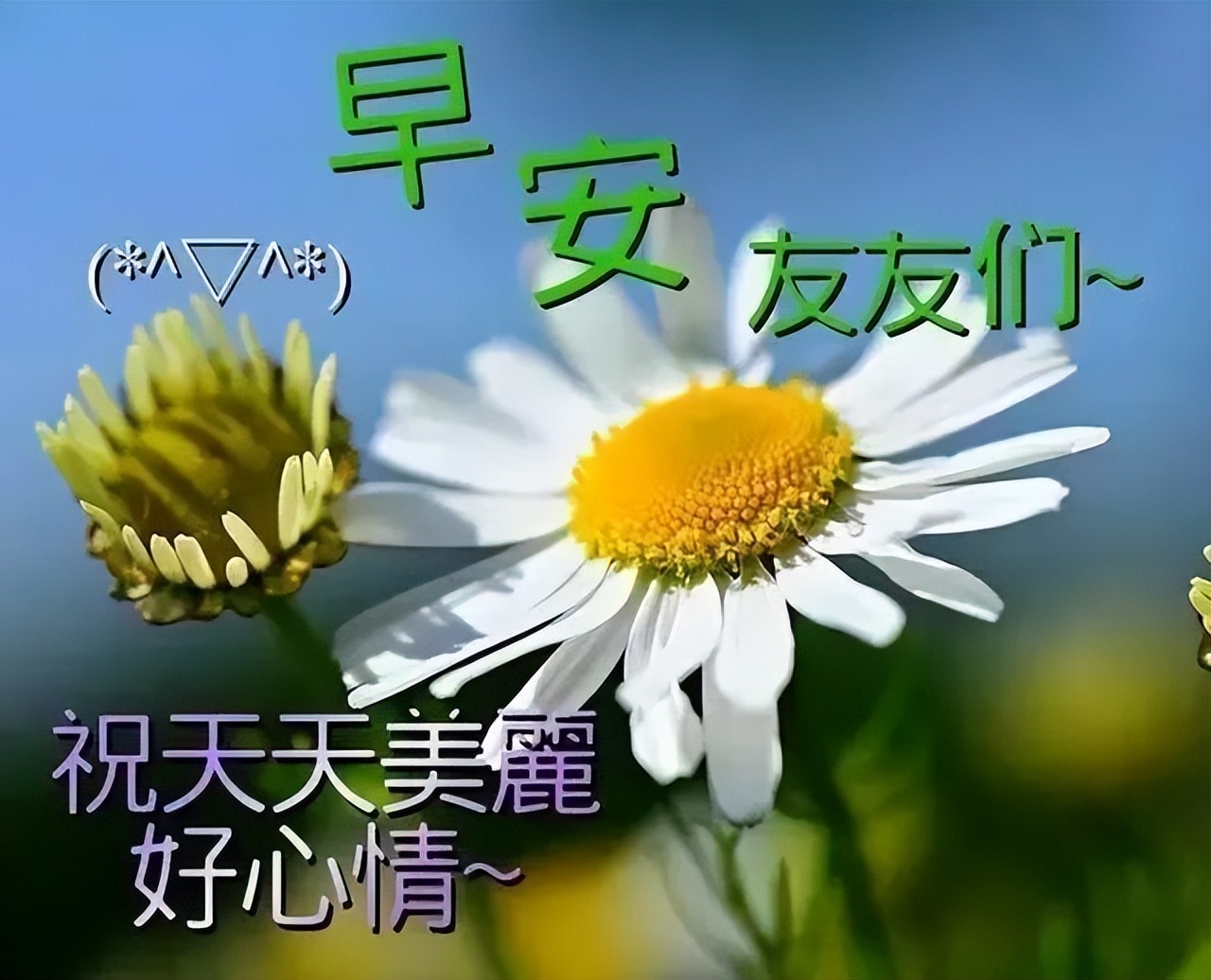 微信精选唯美早上好祝福图片大全 天亮一声早、凡事都美好图片