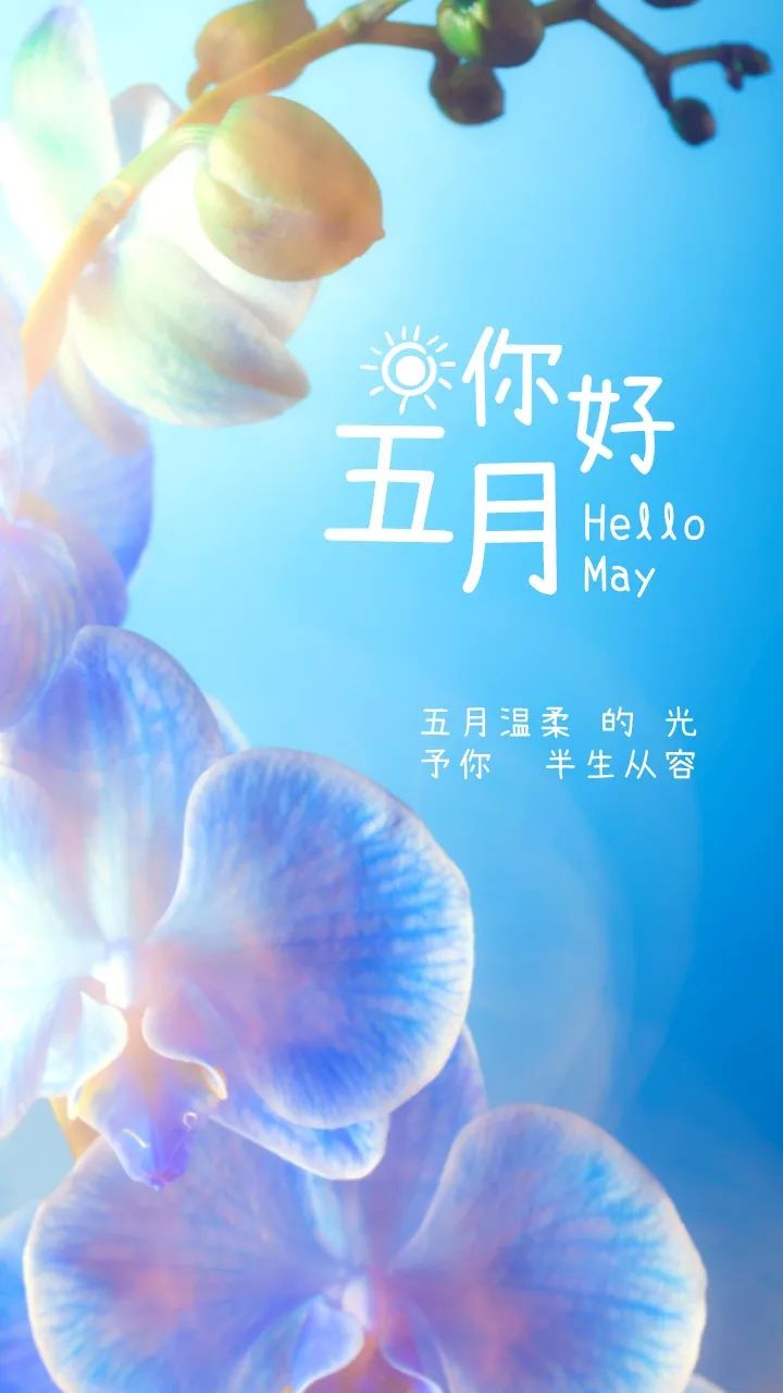 新的五月早上好问候语 五月早上好祝福语温馨句子图片