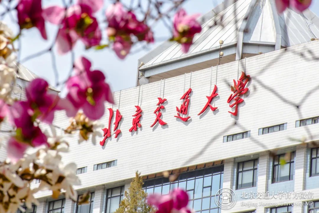 实力超强！北京7位学霸青年：专业第一，全部保研清北，来自同所双一流！