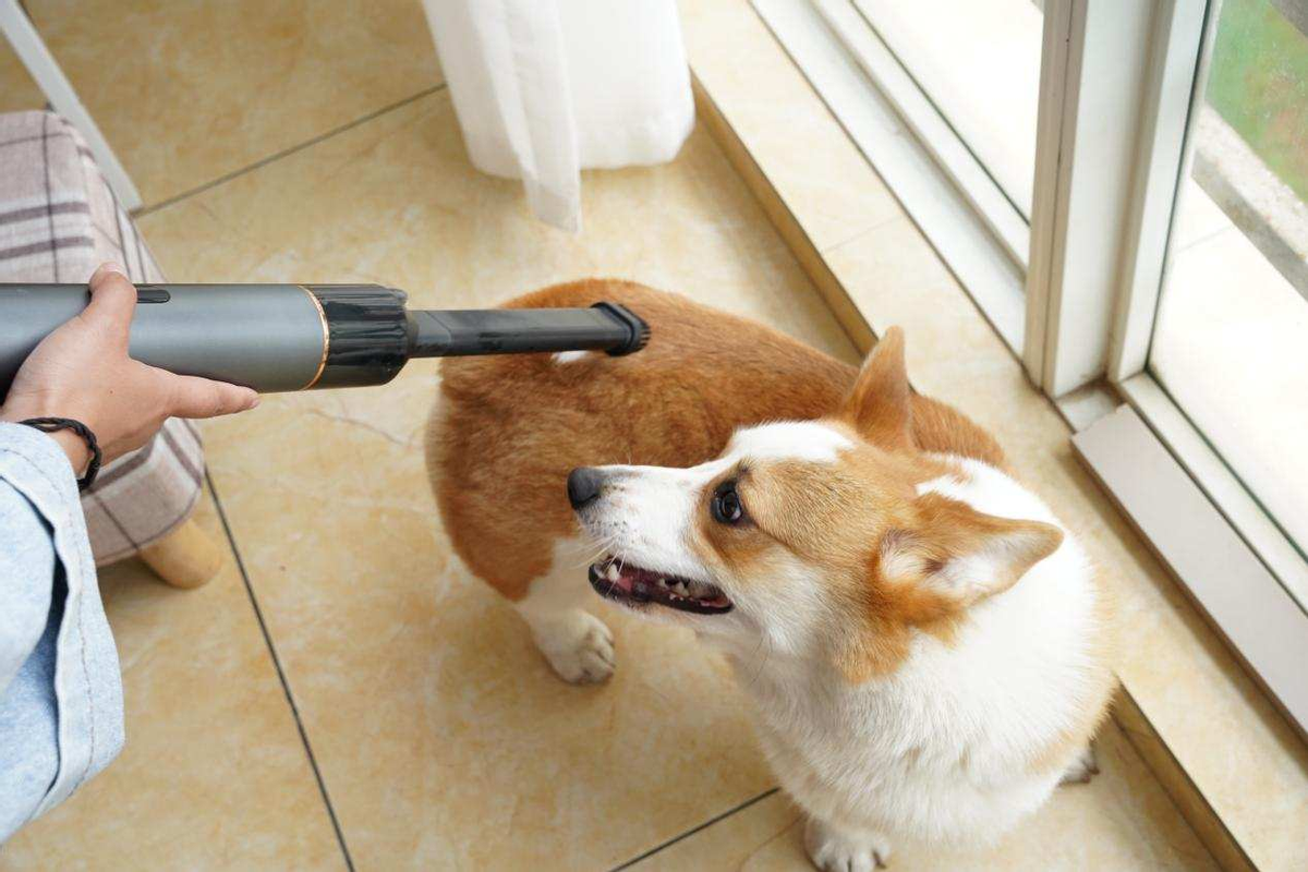 支持鸿蒙智联 全场景清洁能手清蜓智能随手吸尘器C2S评测