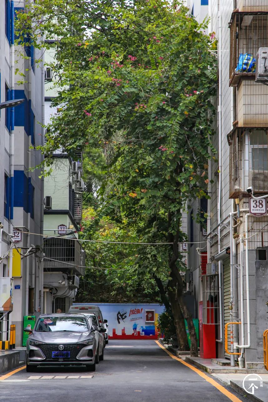 我在深圳富士康打工，月入5k，住30元旅館