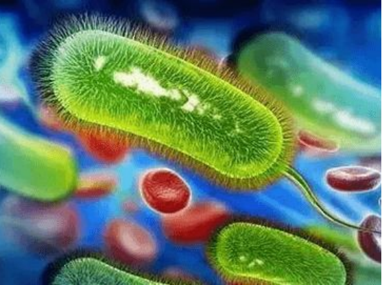 奥美拉唑、兰索拉唑、泮托拉唑、雷贝拉唑有何区别？哪个作用最好