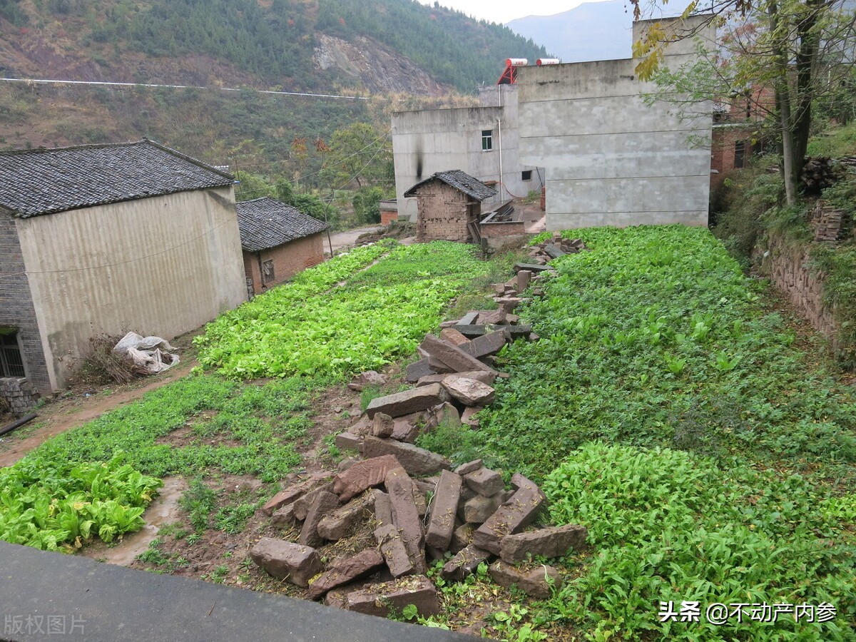 宅基地继承,宅基地继承最新政策2021年
