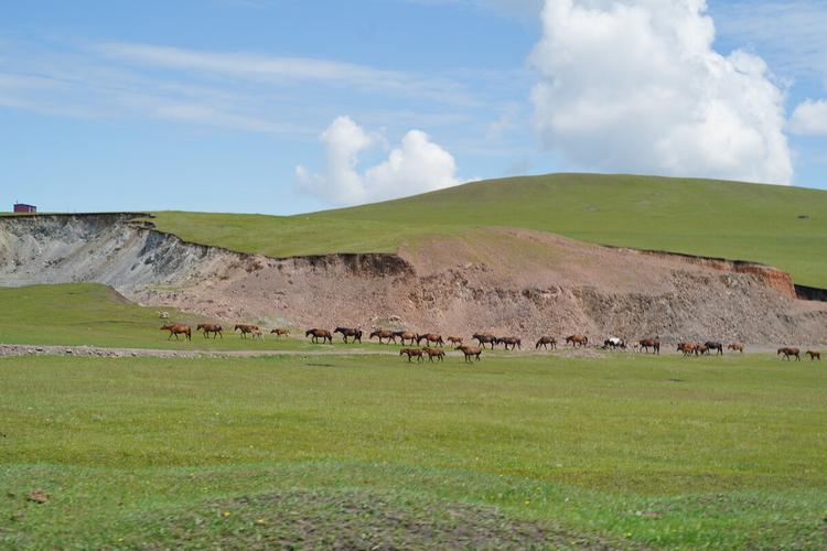 巨人鲍喜顺：与小28岁娇妻闪婚，57岁冒险生下一子，68岁想要二胎