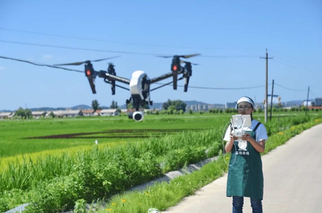 为什么越来越多的人返乡创业，返乡创业有哪些优势？