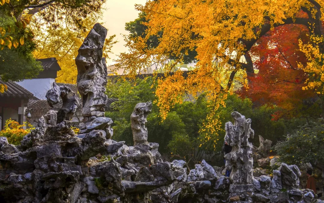 苏州园林特辑 | 待春暖花开之时，相约绝色江南，来一场寻梦之旅