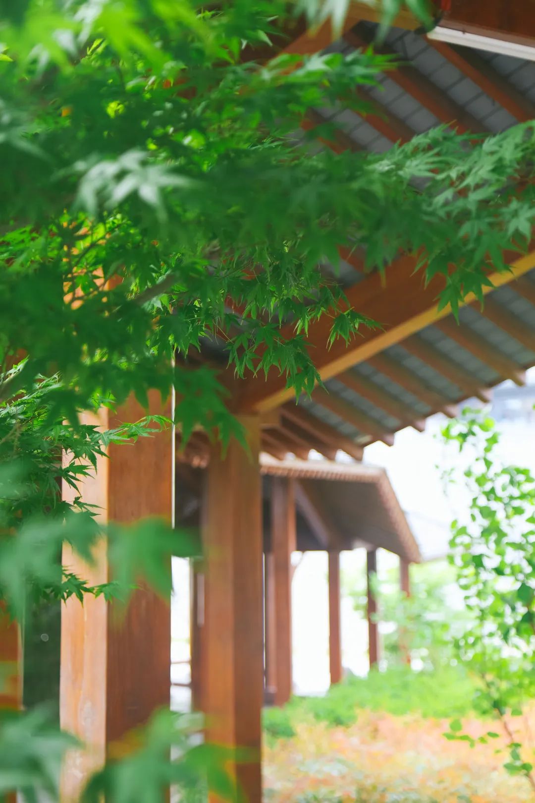 谷雨 | 雨生百谷润无声，园藏意境春景浓