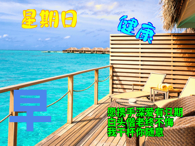周末早上好早上好问候语大全 早上好表情包 天天好运道，日日福星照图片